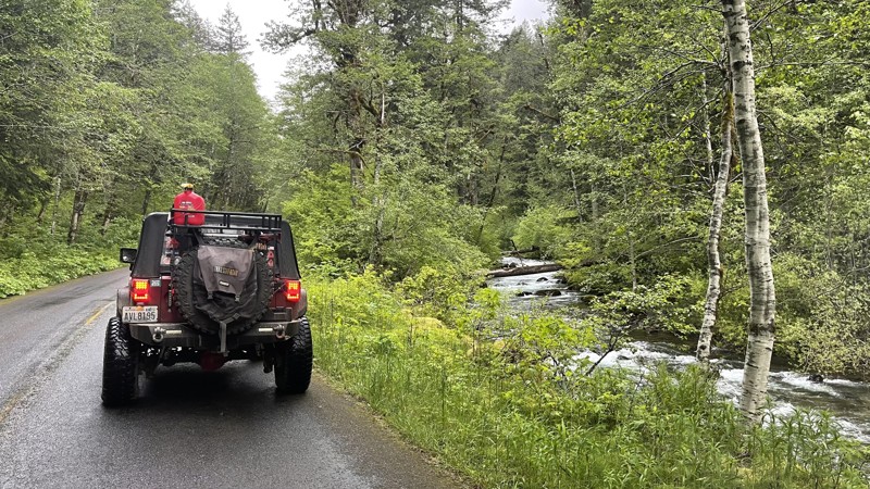 Washington: FS 52 - Skate Creek Hero Photo