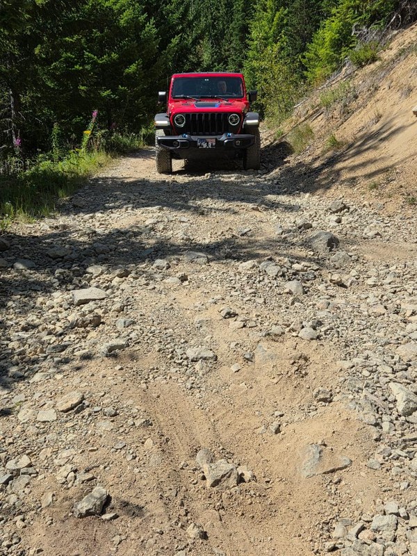 FS 84 Trail Review Photo