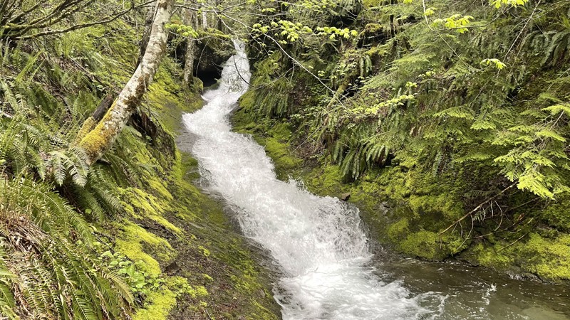 Washington: Butter Creek Hero Photo
