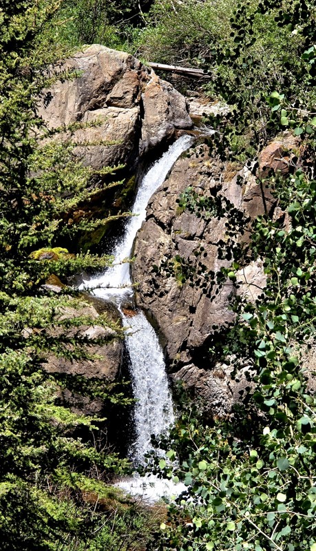 Nellie Creek Trail Review Photo
