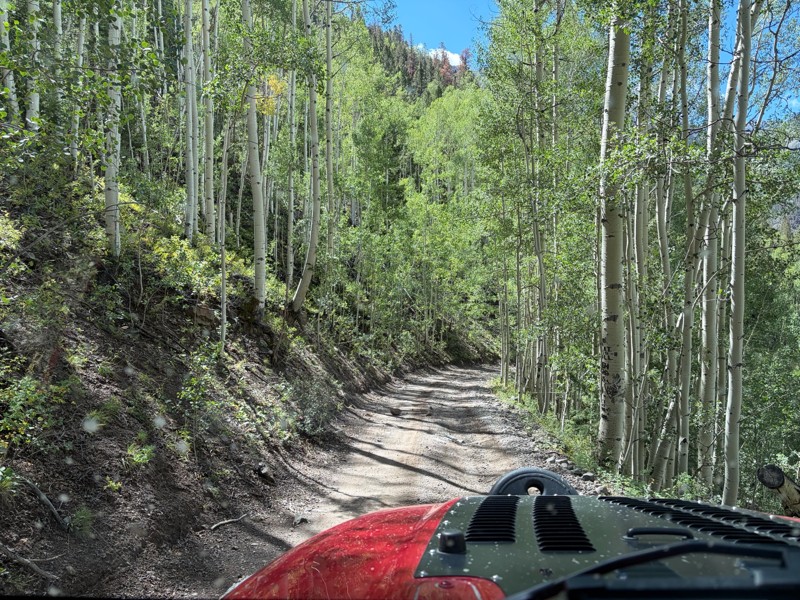 Nellie Creek Trail Review Photo