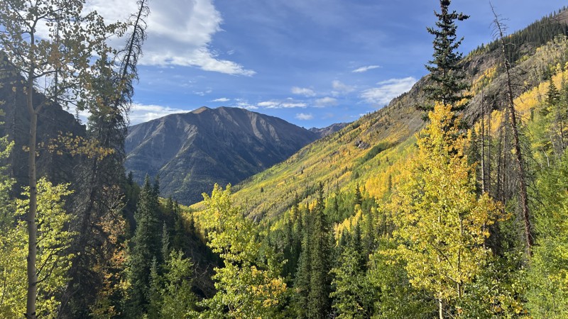 Nellie Creek Trail Review Photo