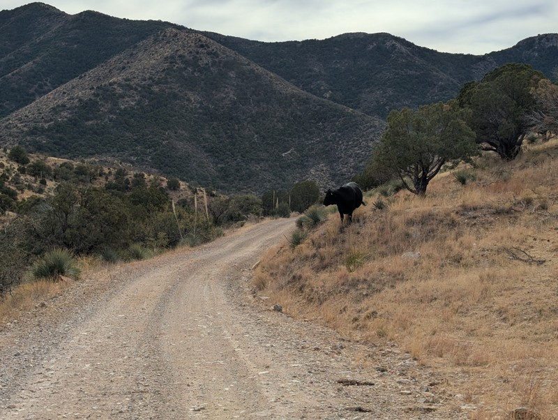 Middlemarch Pass Trail Review Photo