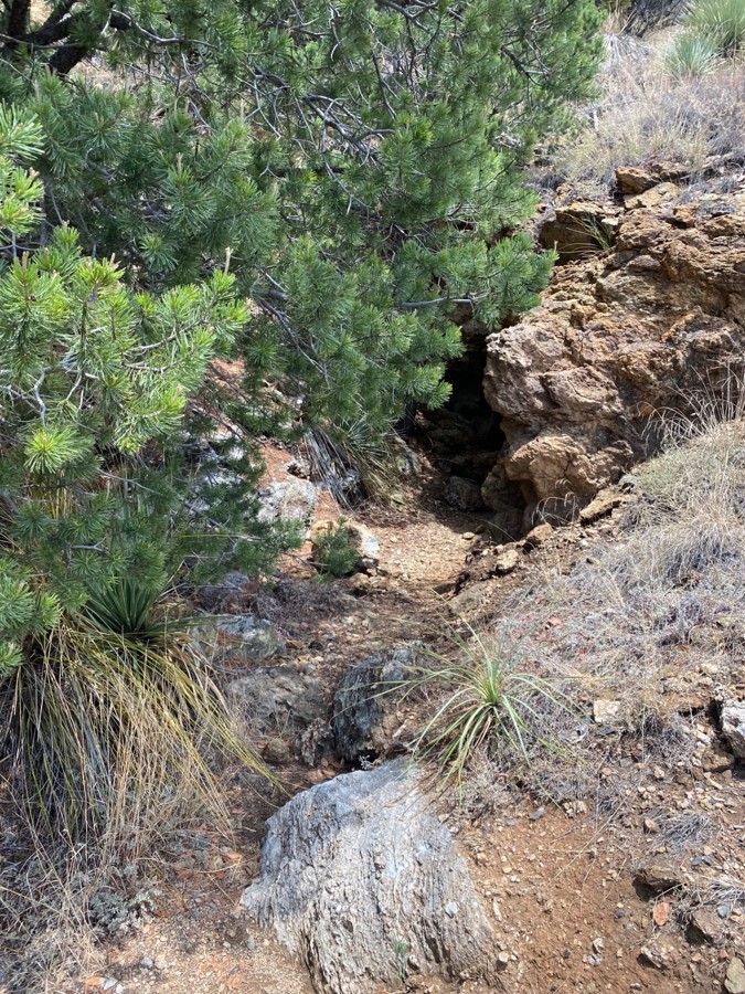 China Camp Trail Review Photo