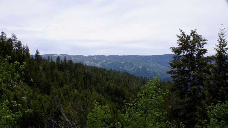 Idaho: Lake Creek Hero Photo