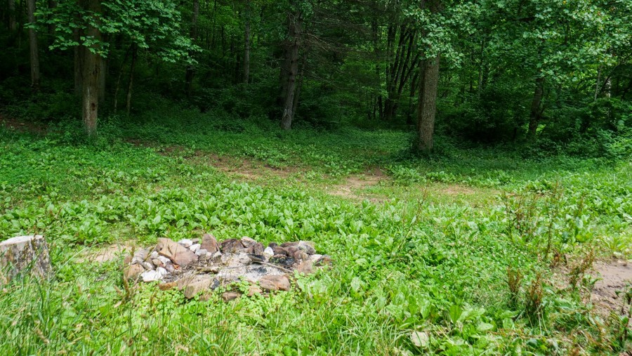 Jackson Run Road - T-14 Trail Review Photo