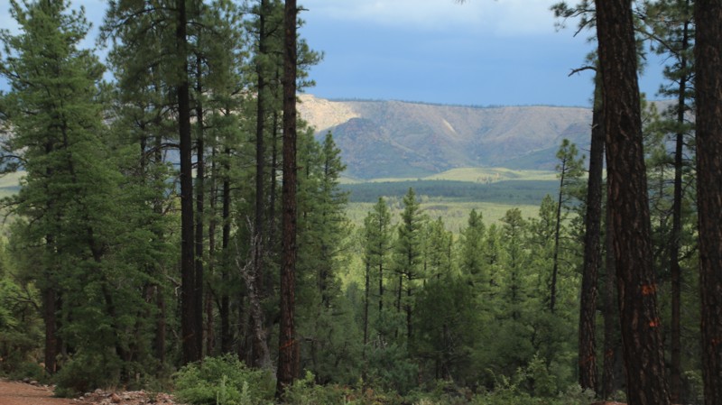 Arizona: Pyeatt Draw Road Hero Photo