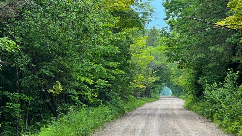 Michigan: Simmons Woods Road Hero Photo