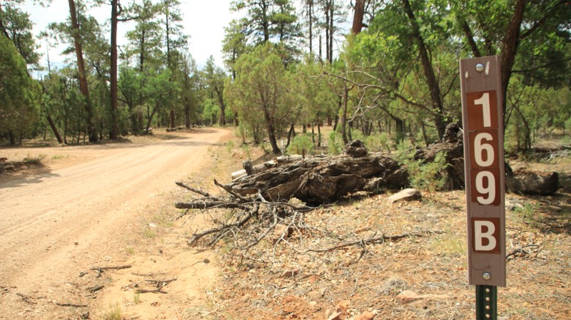 Arizona: Chevlon Canyon Lake Hero Photo