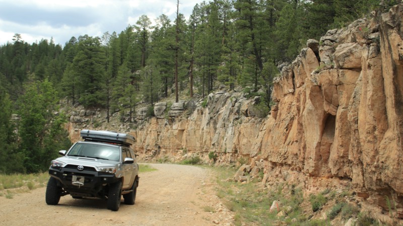 Arizona: Heber Wildcat Hero Photo
