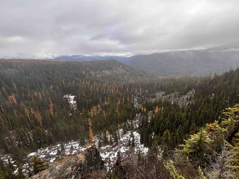 FS 1241 Trail Review Photo