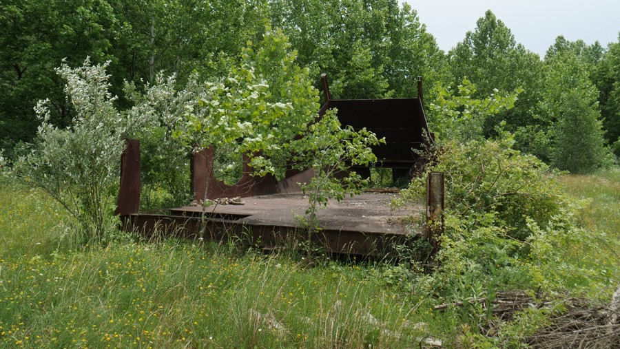 Stone Quarry Road Trail Review Photo