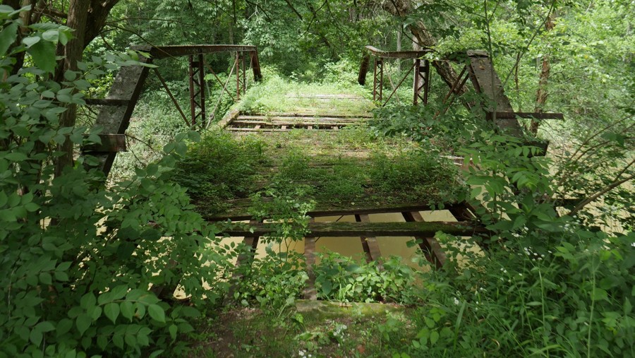 Stone Quarry Road Trail Review Photo