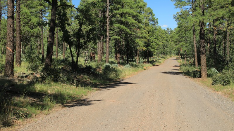 Arizona: Rim Road East Hero Photo