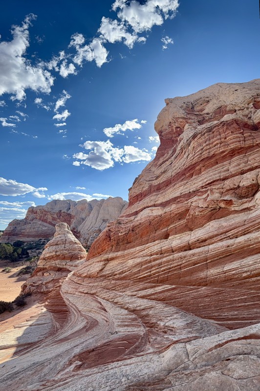 White Pocket Trail Review Photo