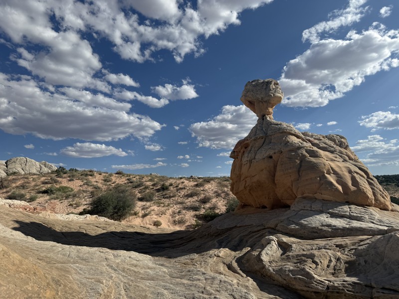 White Pocket Trail Review Photo