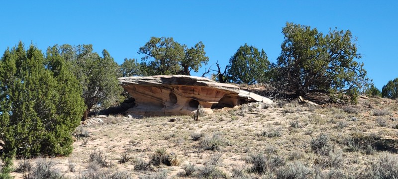 White Pocket Trail Review Photo