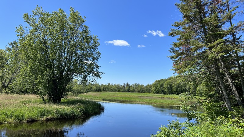 Michigan: Tahquamenon River Access Hero Photo