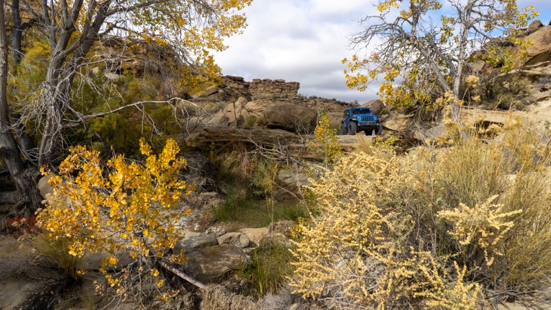 Tibbet Canyon Trail Review Photo