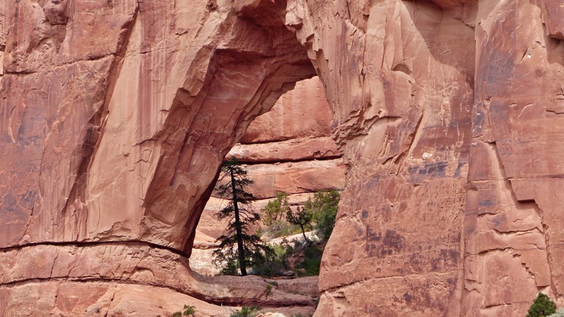 Utah: Arch Canyon Hero Photo