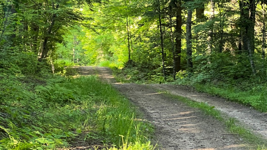 FR 1501 Trail Review Photo
