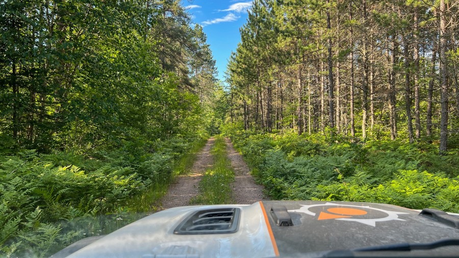 FR 1334 Trail Review Photo
