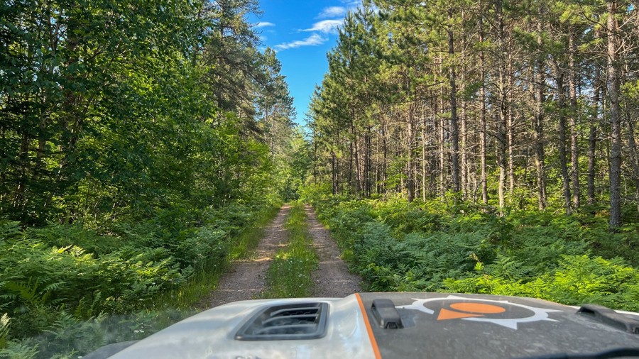 FR 1334 Trail Review Photo
