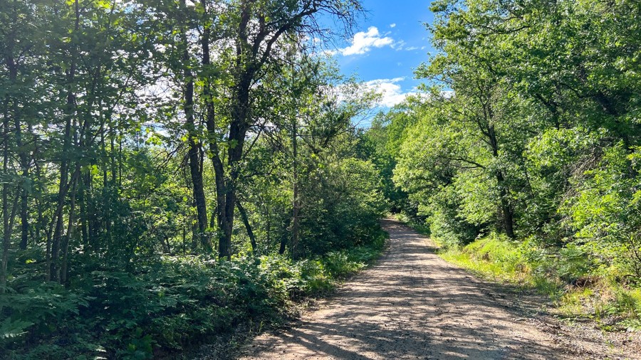 FR 2020 Trail Review Photo