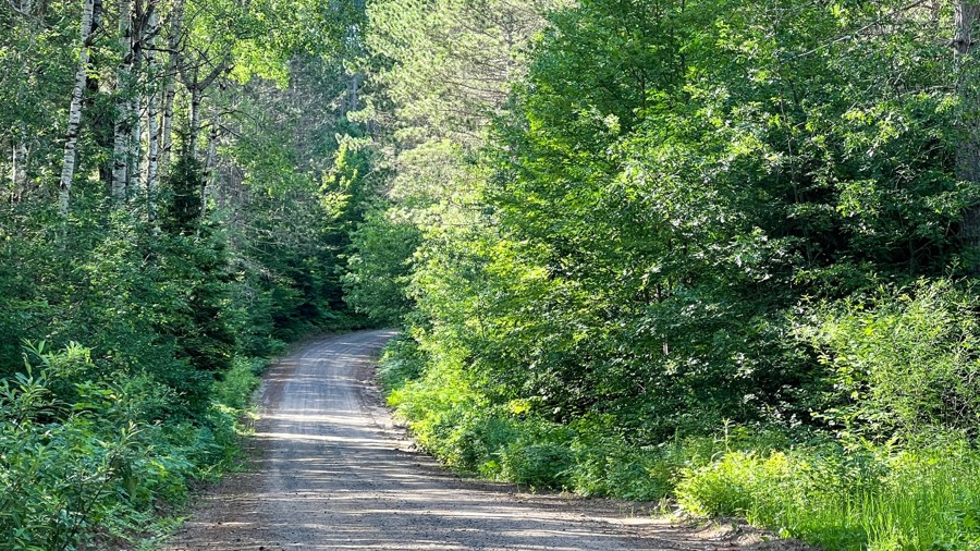 FR 2020 Trail Review Photo