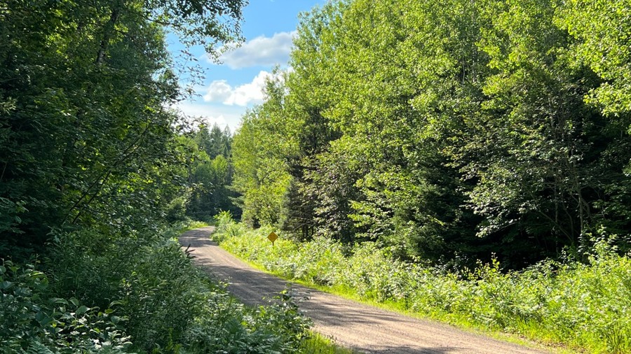 FR 1300 (Segment 1) Trail Review Photo