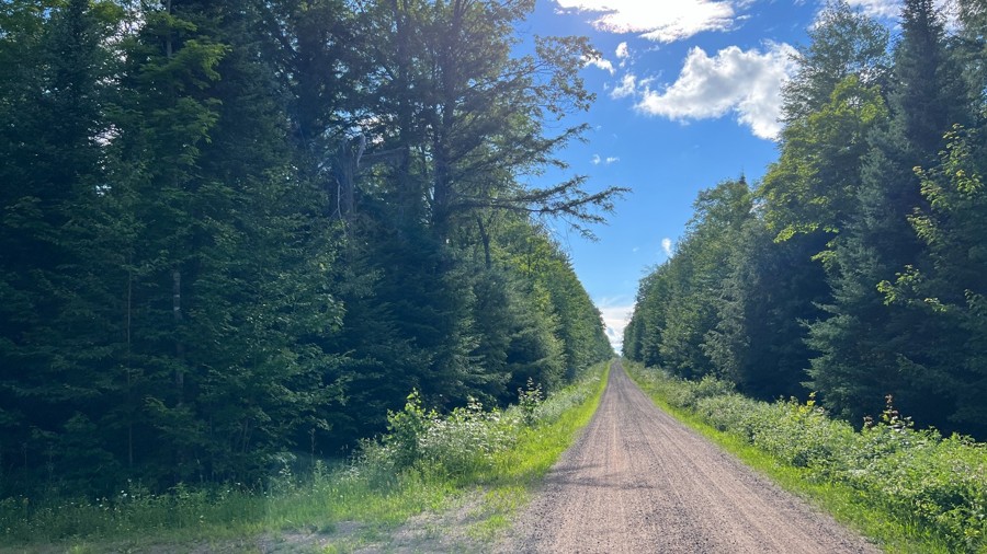 FR 1300 (Segment 1) Trail Review Photo