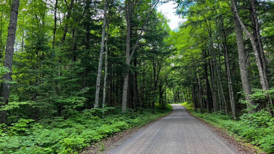 FR 2127 Trail Review Photo