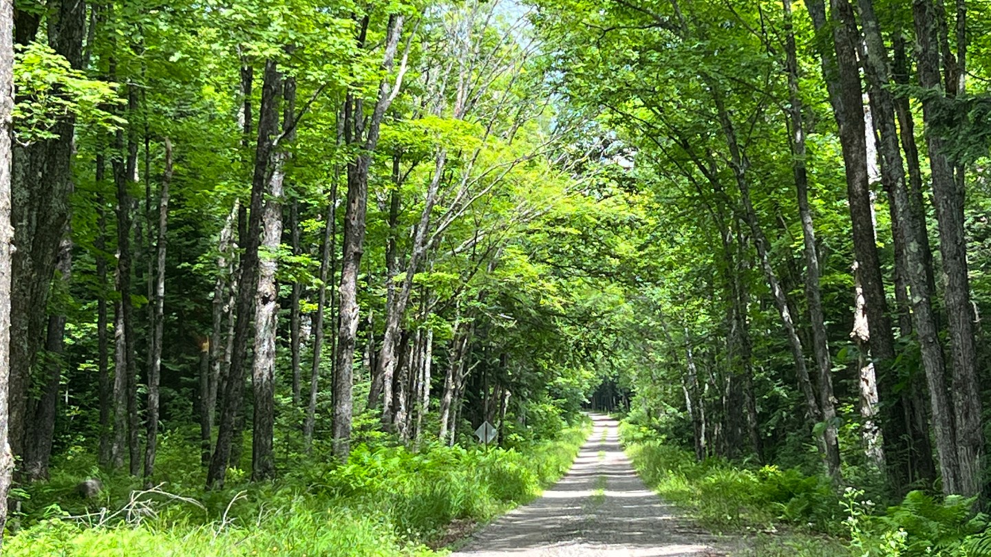 Highlight: https://images-prod.trailsoffroad.com/scout_routes/818/hero_file_name/1657846283232_resizedIMG9186.jpg