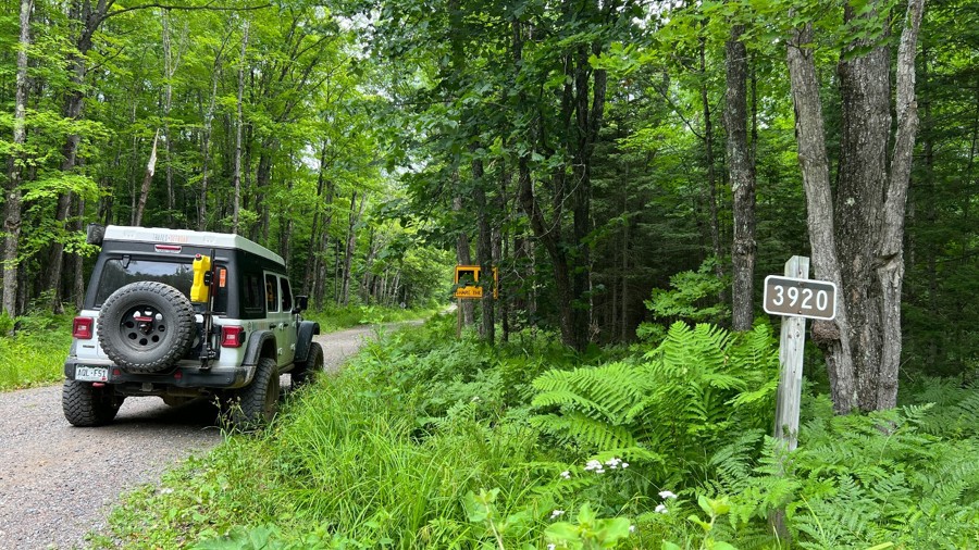 FR 3920 Trail Review Photo