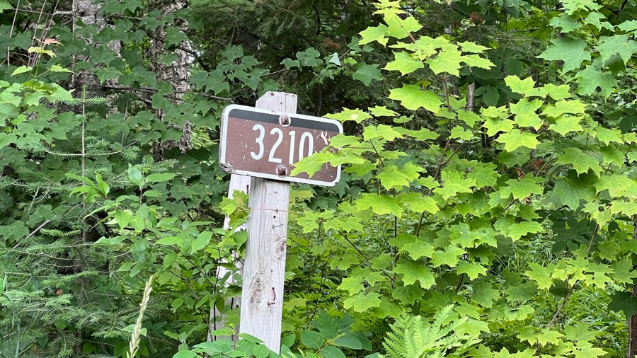 FR 3210 Trail Review Photo