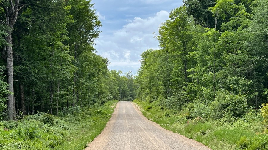 FR 3210 Trail Review Photo