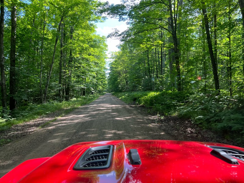 Windsor Dam Road (FR 2174) Trail Review Photo