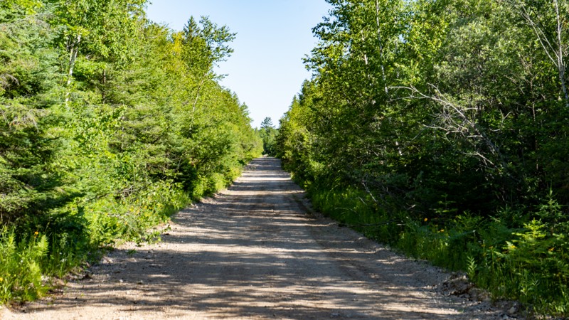 Michigan: Hog Island Road Hero Photo