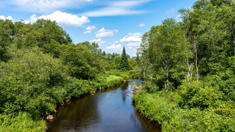 New York: Otter Brook Road Hero Photo