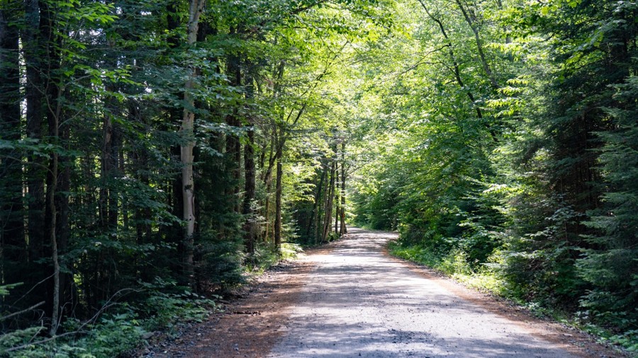 Cedar River-Limekiln Road Trail Review Photo