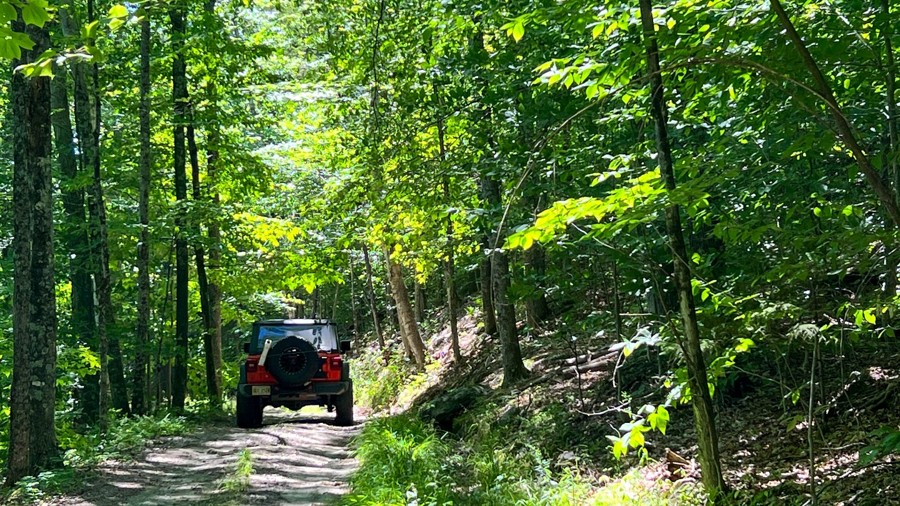 Mount Hunger Road Trail Review Photo