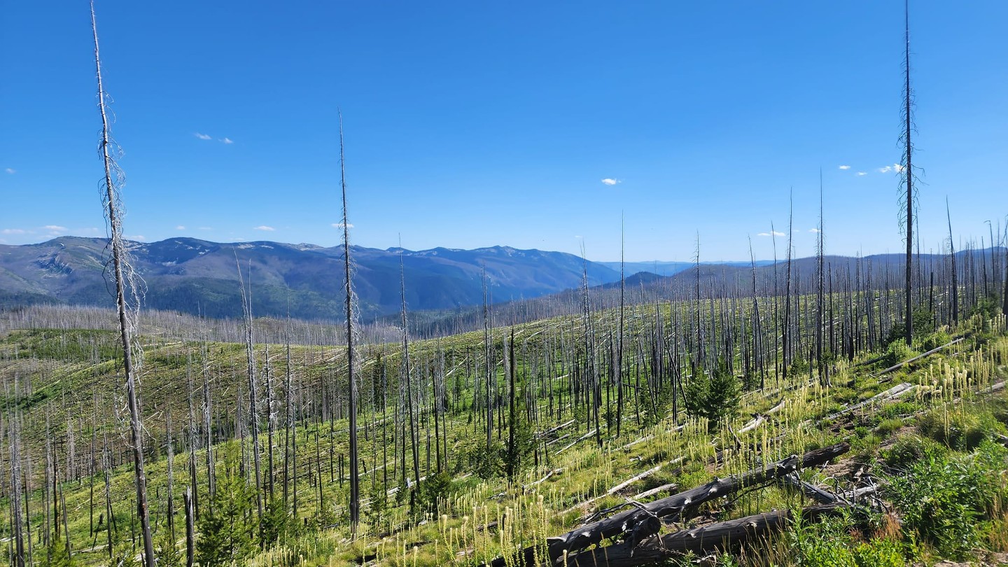 Highlight: https://images-prod.trailsoffroad.com/scout_routes/869/hero_file_name/1658888752556_resized29542242610160238558838086736131476189803778n.jpg