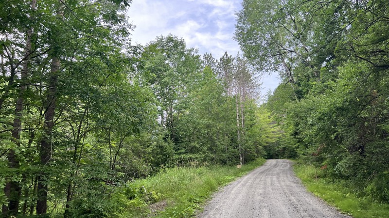 Vermont: Collinsville Road Hero Photo