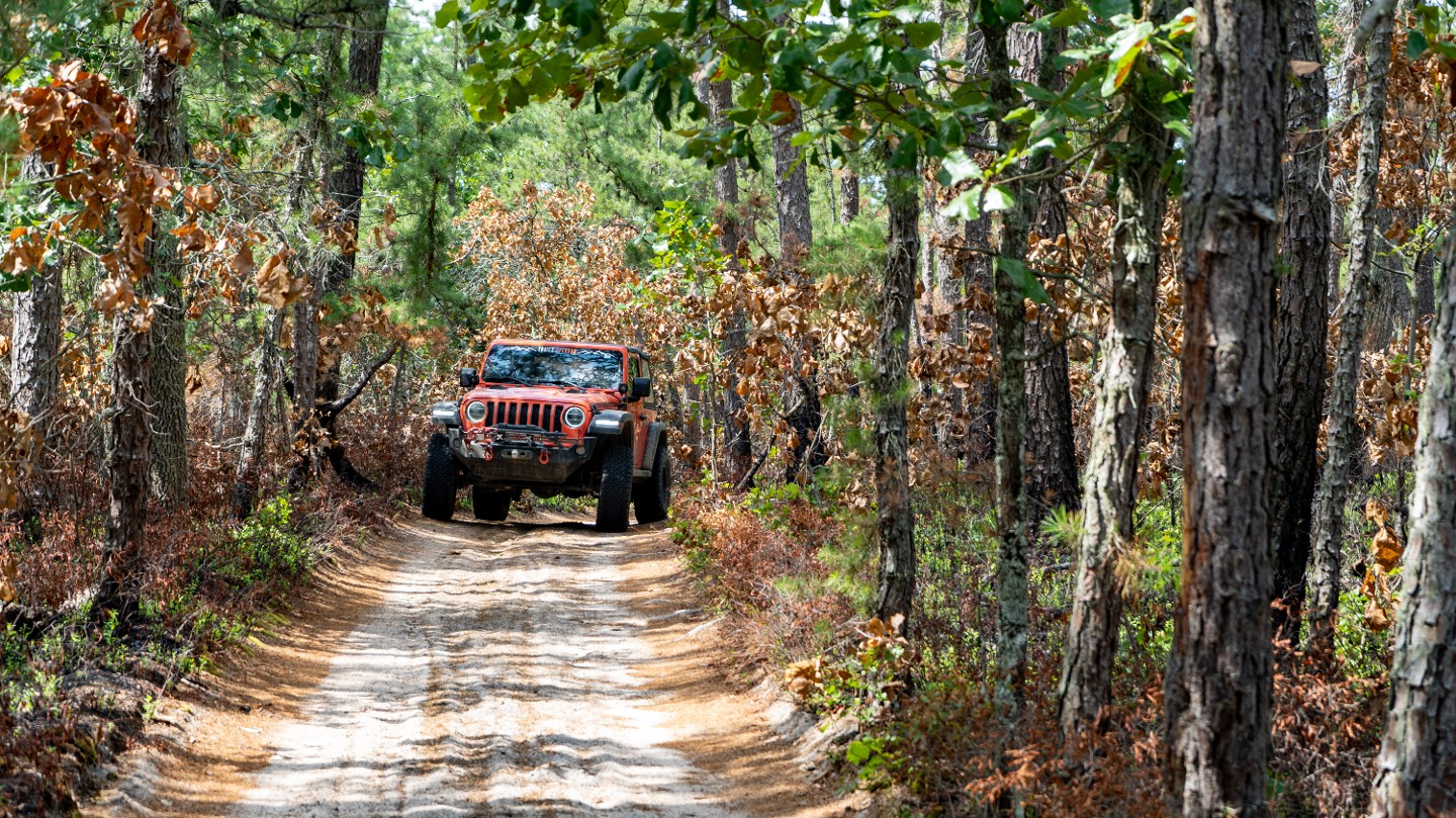 Highlight: https://images-prod.trailsoffroad.com/scout_routes/877/hero_file_name/1659055413353_resizedMullicaRiverandMiddleRoad09610.jpg