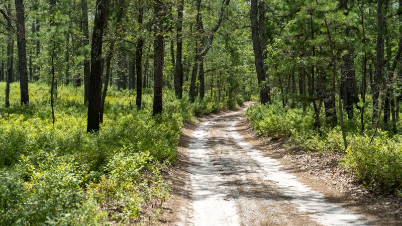 New Jersey: Washington Speedwell Road Hero Photo
