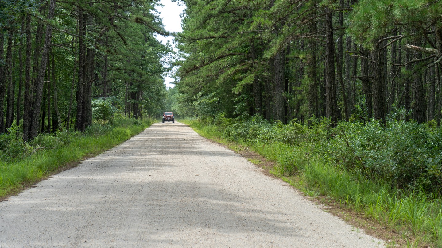 Highlight: https://images-prod.trailsoffroad.com/scout_routes/880/hero_file_name/1659220043116_resizedA7I09512.jpg