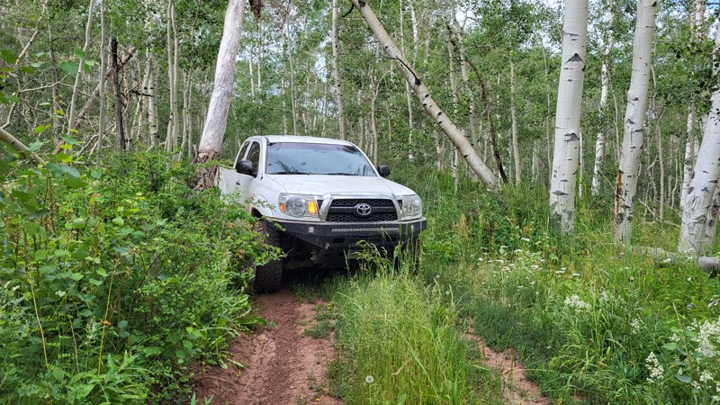 Colorado: Tames Creek Hero Photo