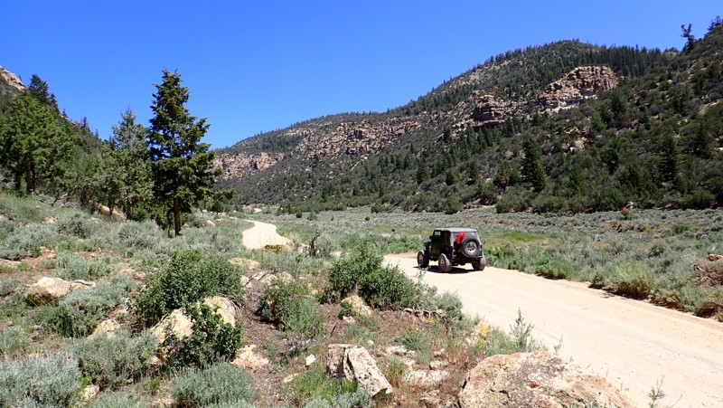 Utah: Cottonwood Canyon Road Hero Photo
