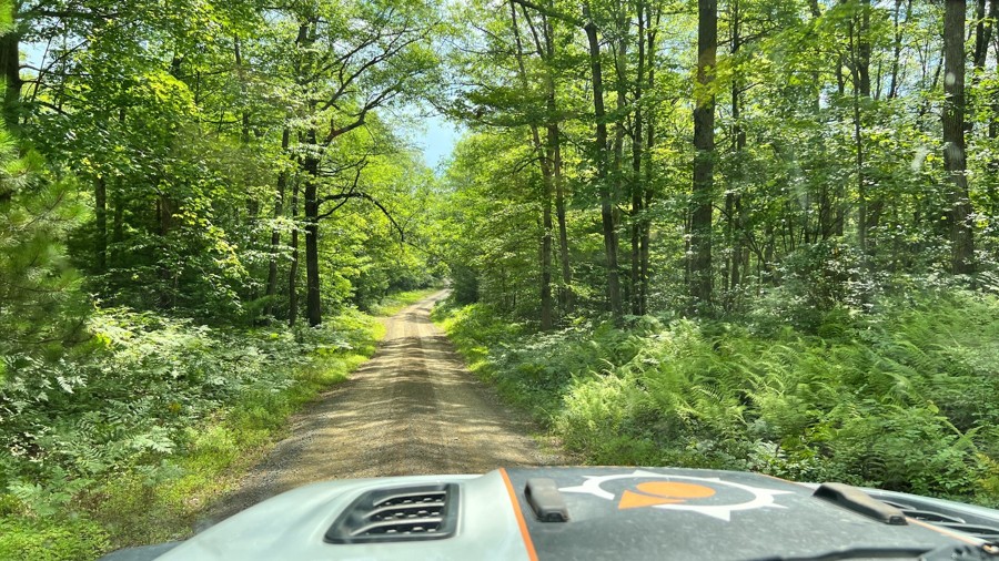 Pine Swamp Road Trail Review Photo
