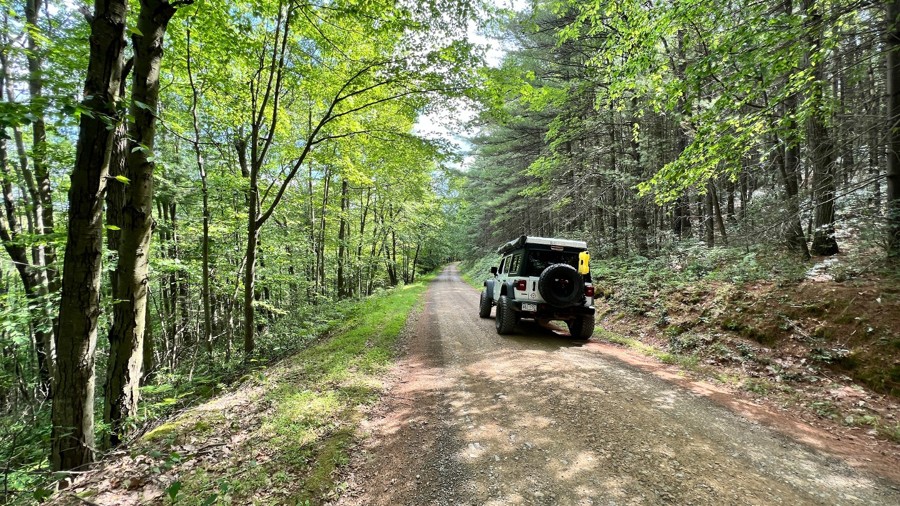 Pine Swamp Road Trail Review Photo